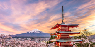 Silver Gen enjoys Japan’s Silver Week