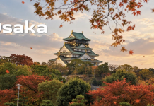 Air India opens Delhi-Osaka flights