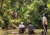 Khao Sok: Living beneath an ancient forest canopy