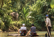 Khao Sok: Living beneath an ancient forest canopy